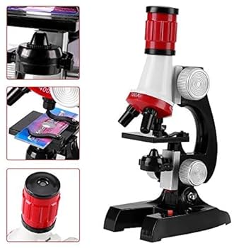 Microscope