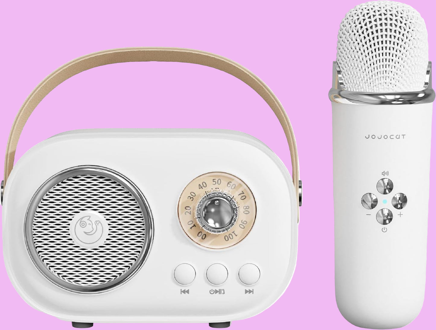 C20 Plus Karaoke Wireless Bluetooth Speaker With Mic