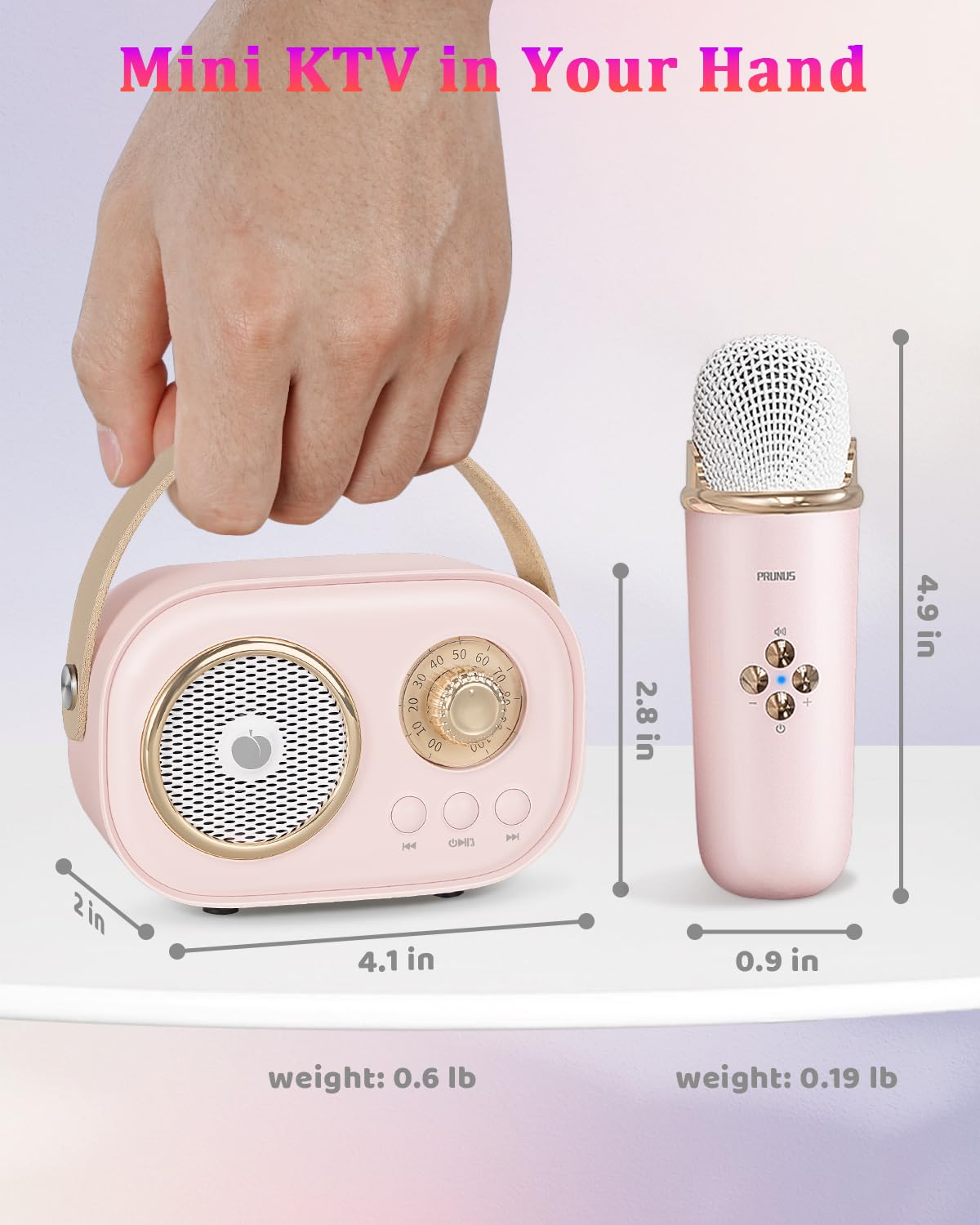 C20 Plus Karaoke Wireless Bluetooth Speaker With Mic