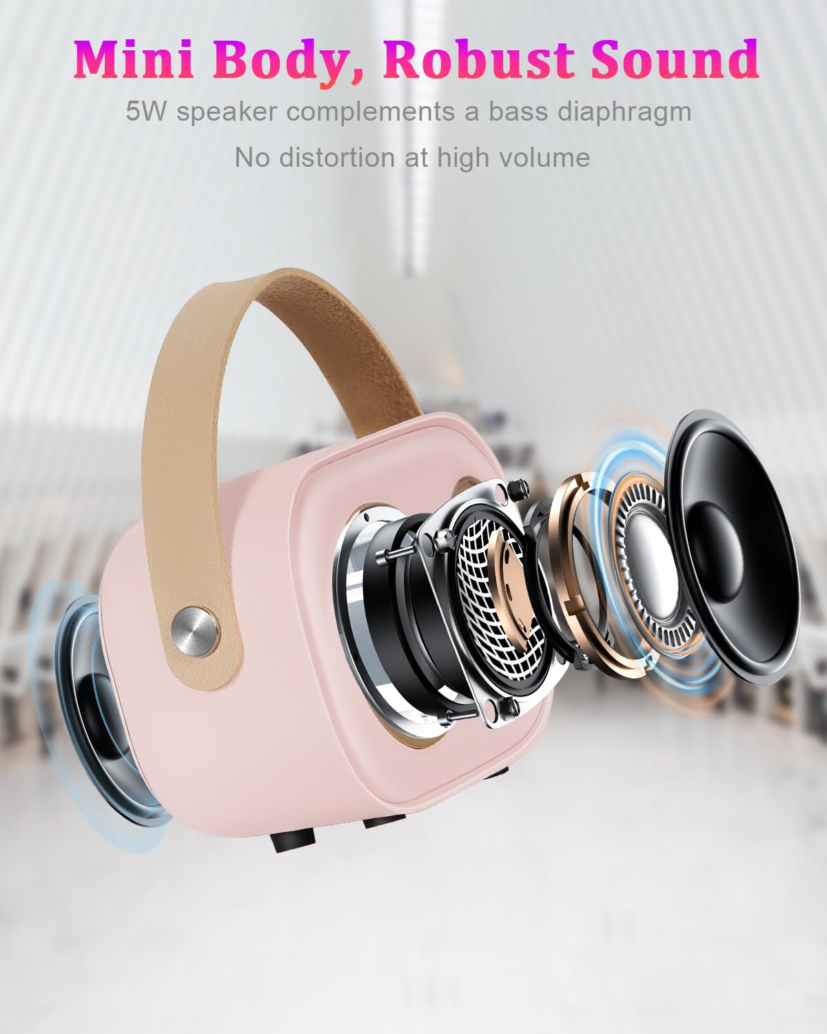 C20 Plus Karaoke Wireless Bluetooth Speaker With Mic