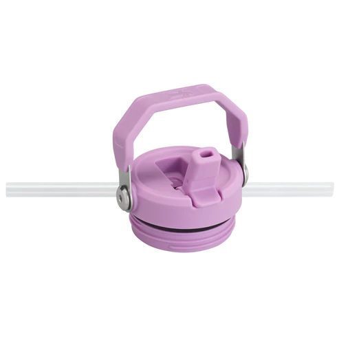 STANLEY - IceFlow™ Bottle with Flip Straw Lid