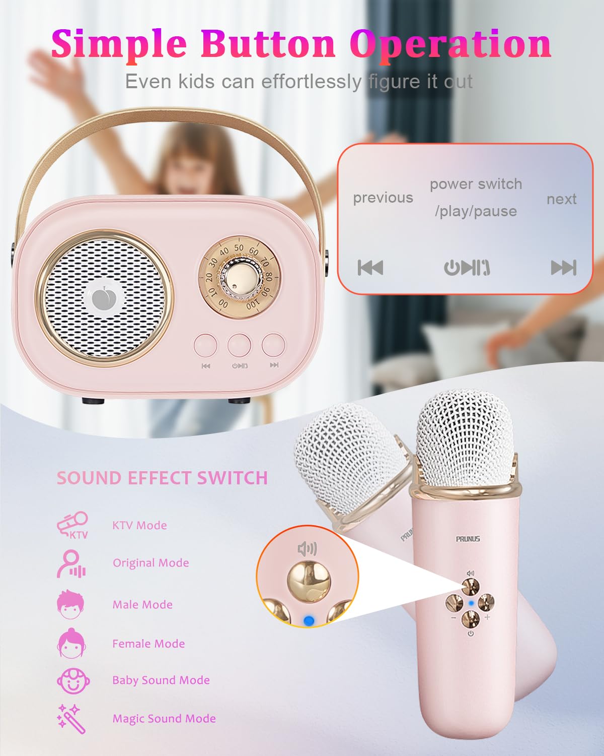 C20 Plus Karaoke Wireless Bluetooth Speaker With Mic