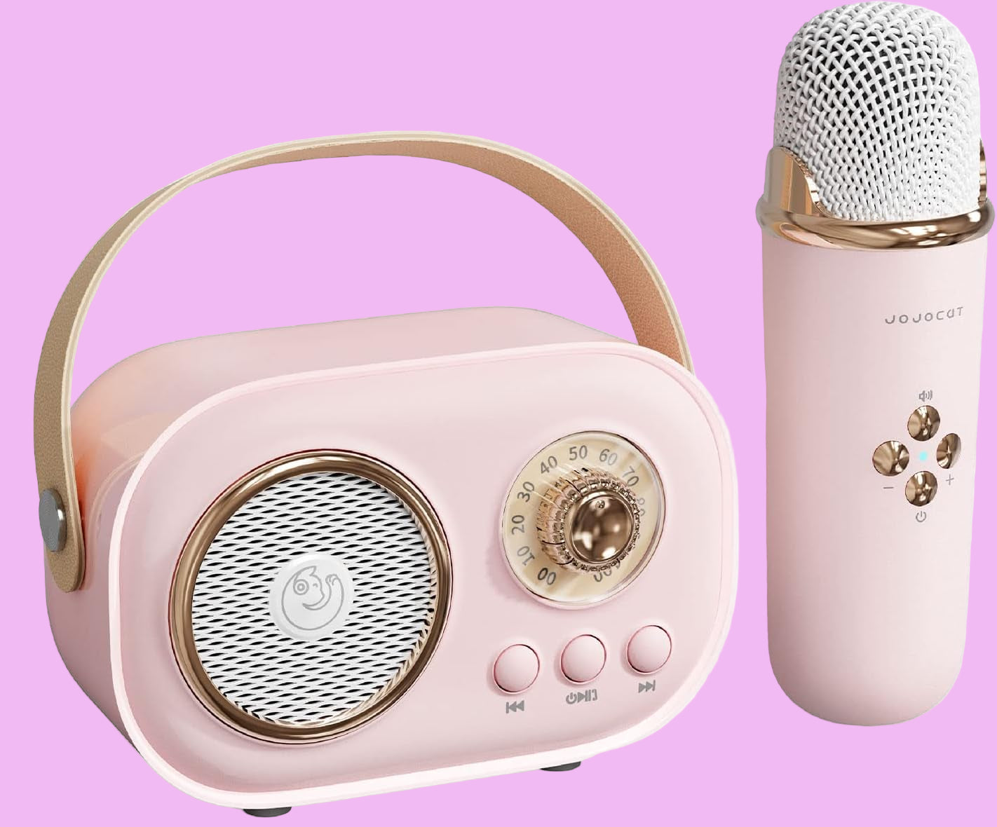 C20 Plus Karaoke Wireless Bluetooth Speaker With Mic