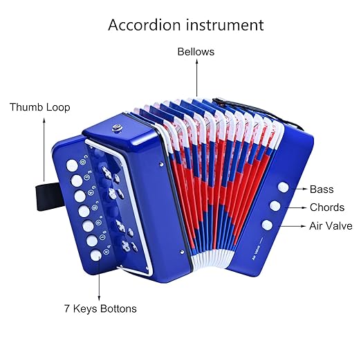 Accordion Music Toy