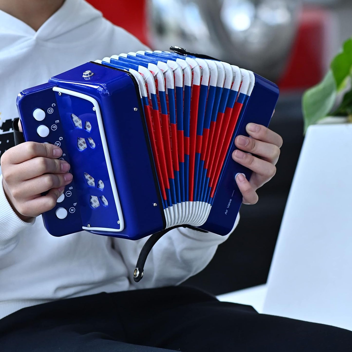 Accordion Music Toy
