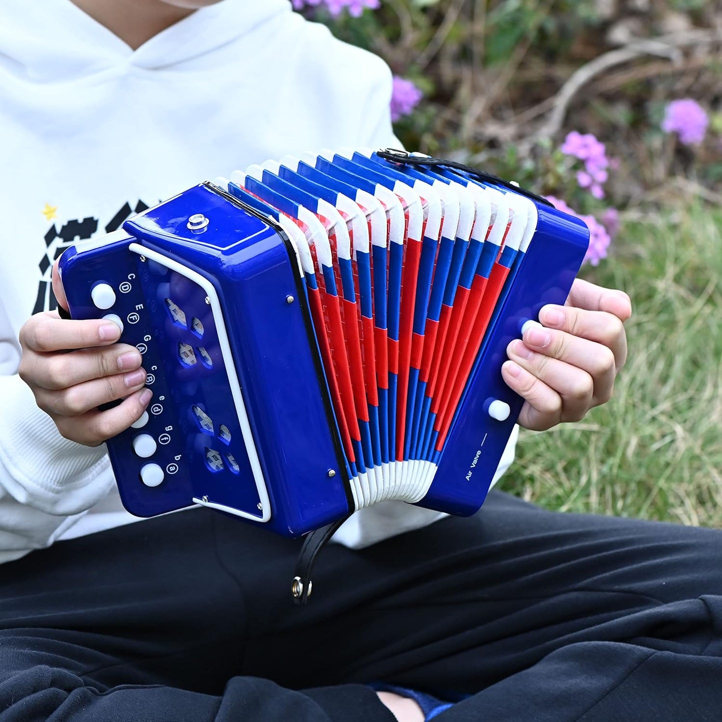 Accordion Music Toy
