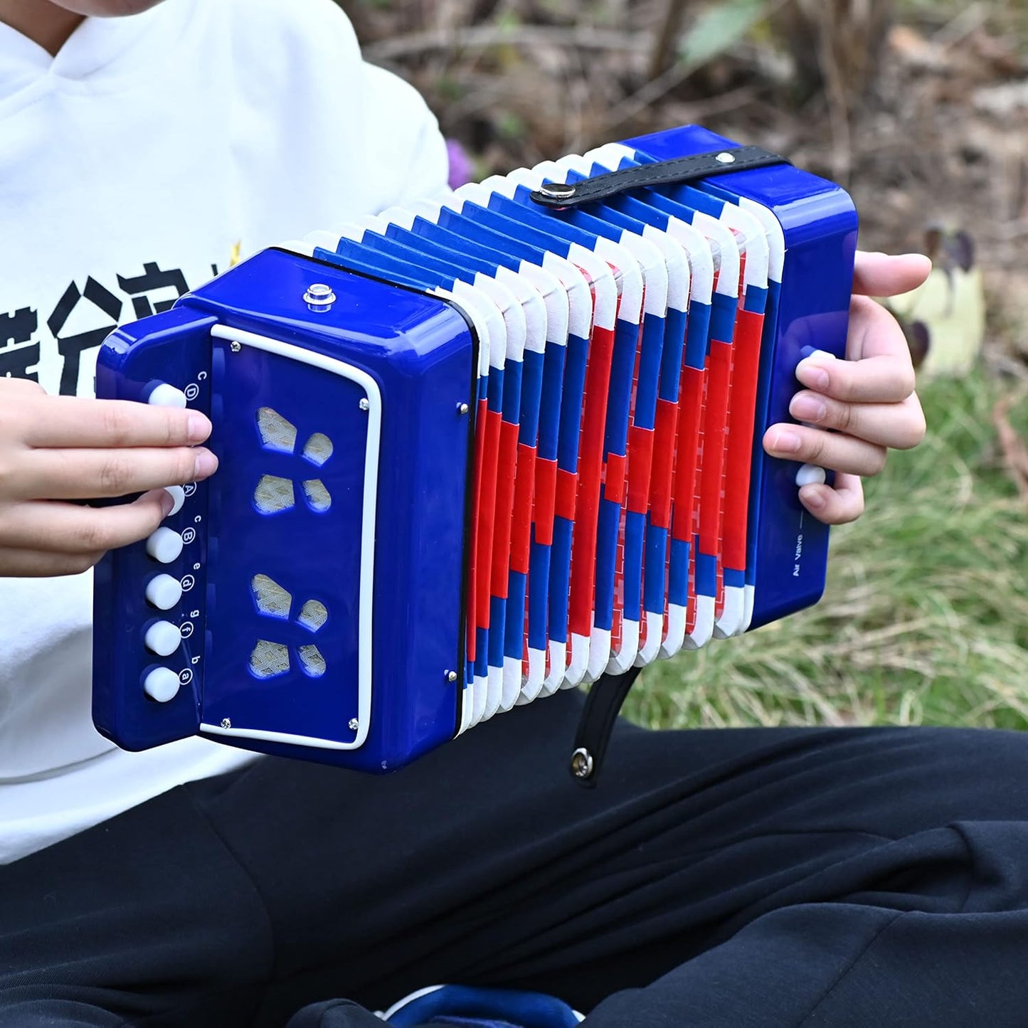 Accordion Music Toy