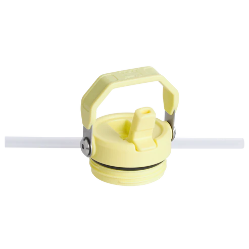 STANLEY - IceFlow™ Bottle with Flip Straw Lid