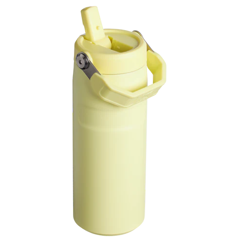 STANLEY - IceFlow™ Bottle with Flip Straw Lid