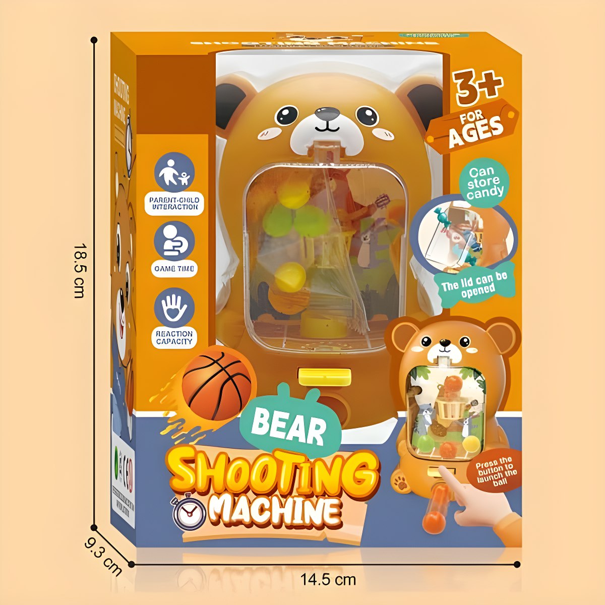 Bear Basketball Game