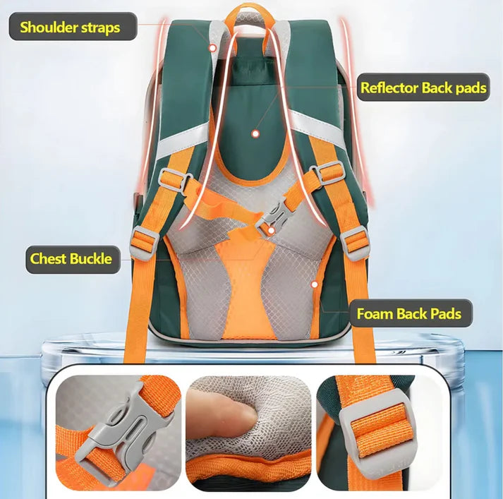Dinosaur Theme School Bag