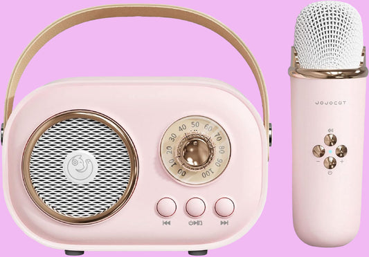 C20 Plus Karaoke Wireless Bluetooth Speaker With Mic