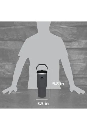 Stanley IceFlow Flip Straw Tumbler