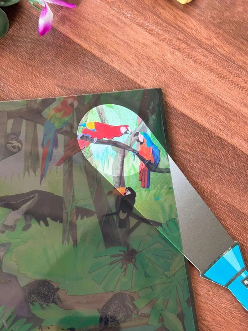 Exploration Book