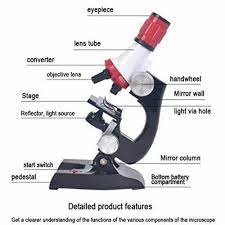Microscope
